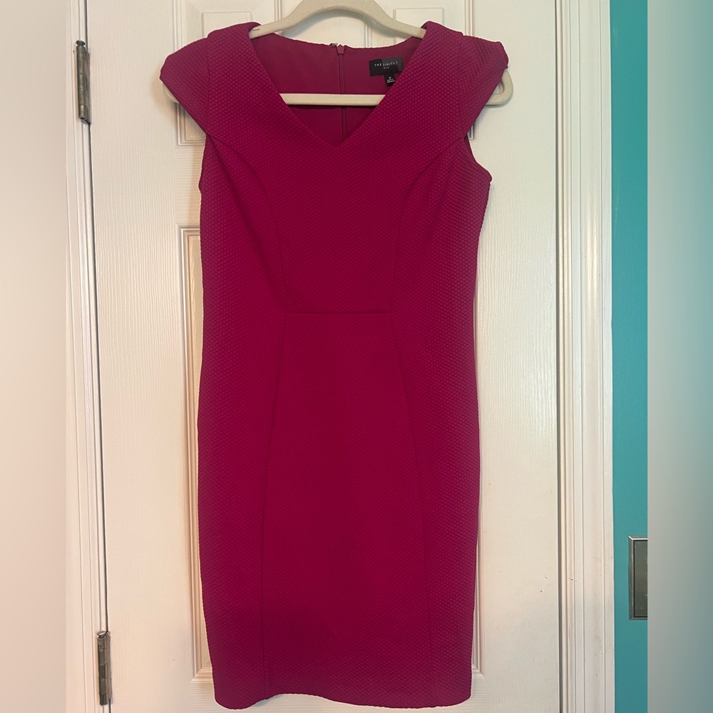 The Limited Petite dress size 0